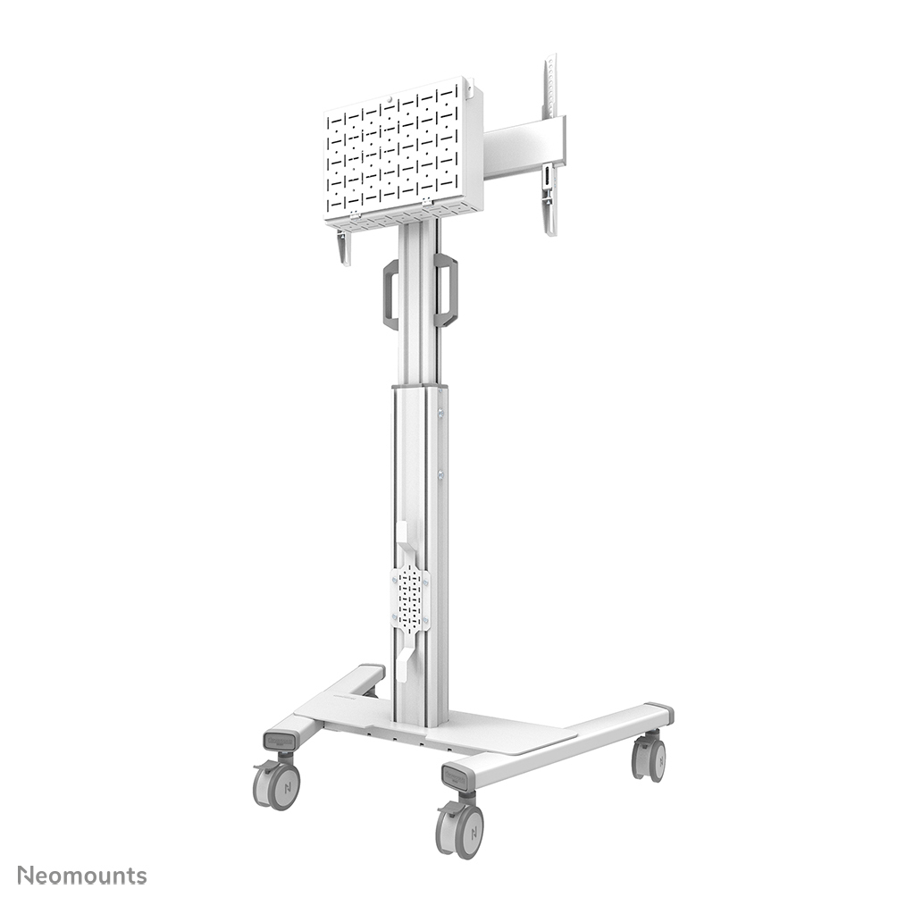 Neomounts Select Bodenständer - 70 kg - 94 cm (37") - 190,5 cm (75") - 100 x 100 mm - 600 x 400 mm - 1145 - 1535 mm