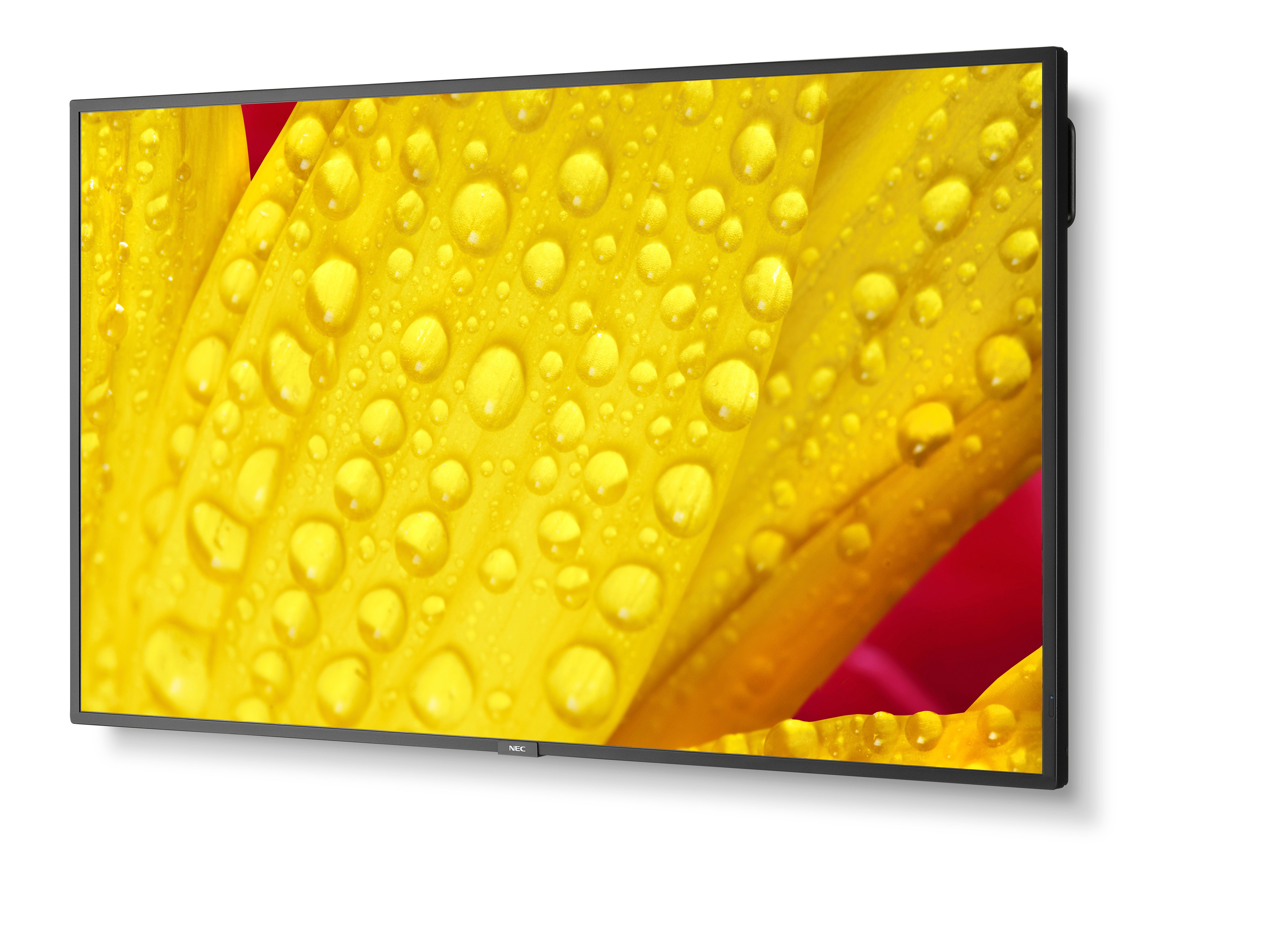 NEC Large Format Display M501-2