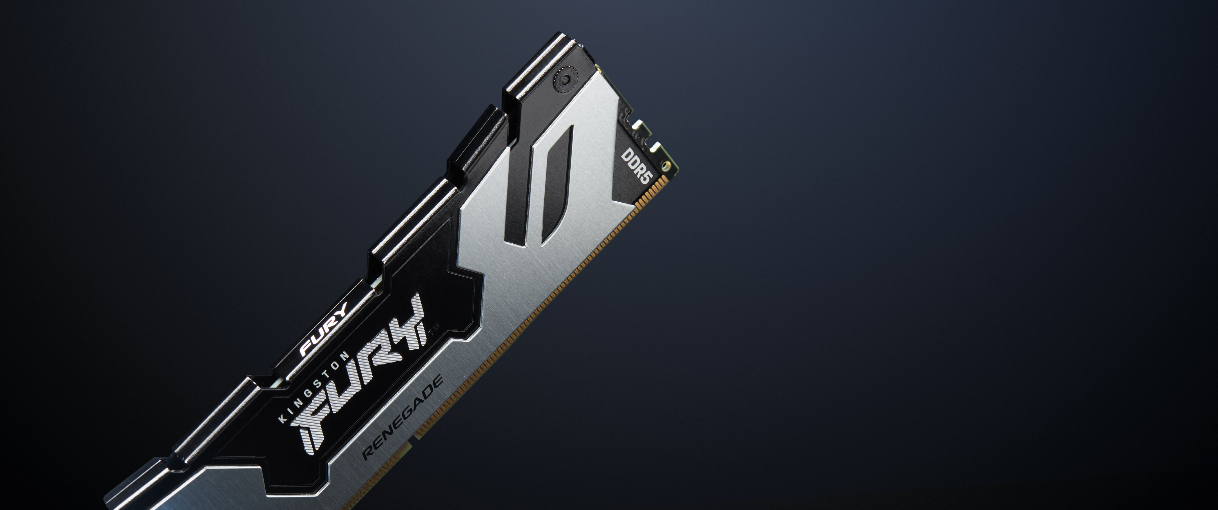 RAM Desktop DDR5 48GB 6000MHz Kingston FURY Renegade Pro (KF560C32RS-48)