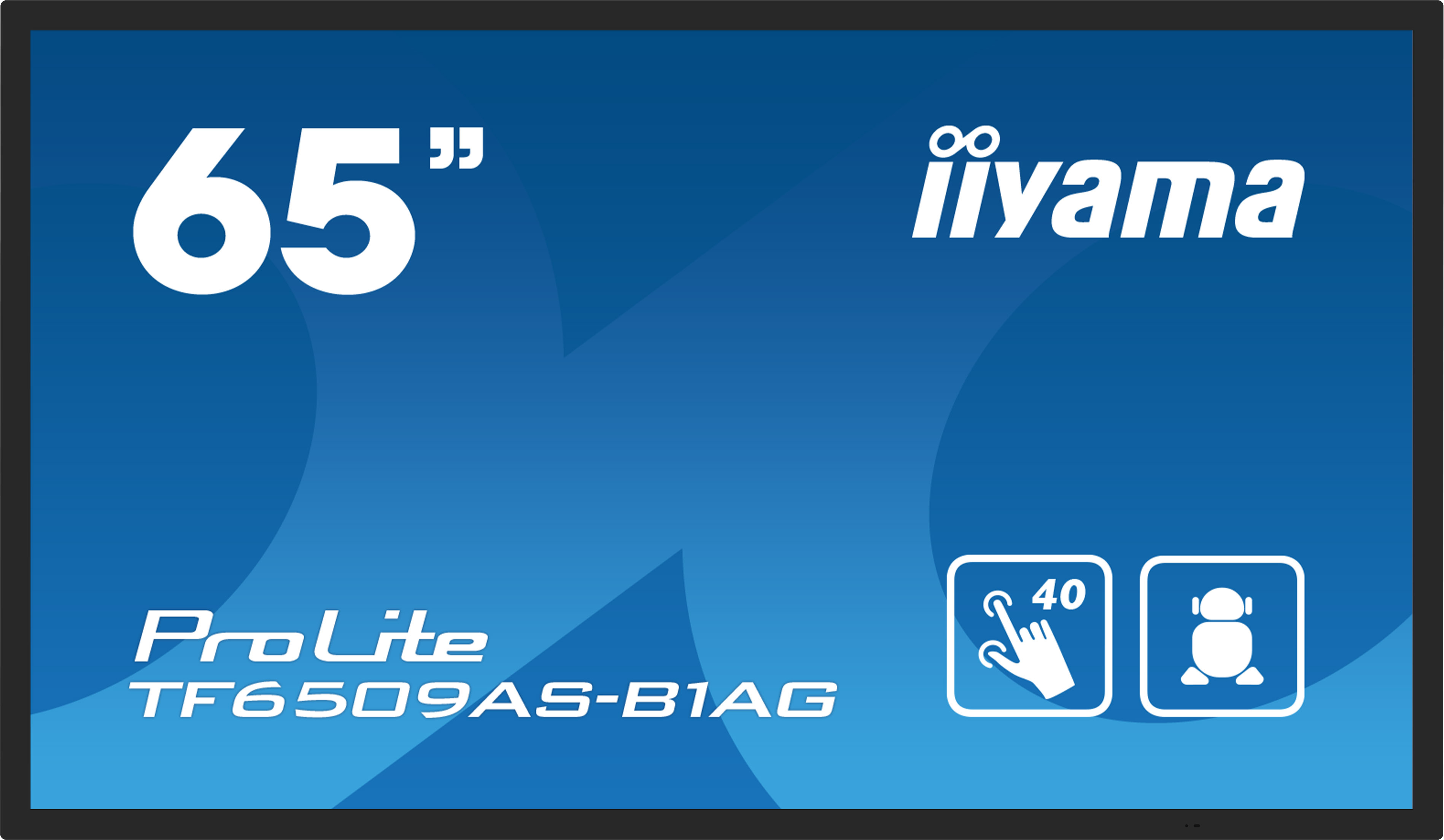 IIYAMA LFD ProLite TF6539AS-B1AG