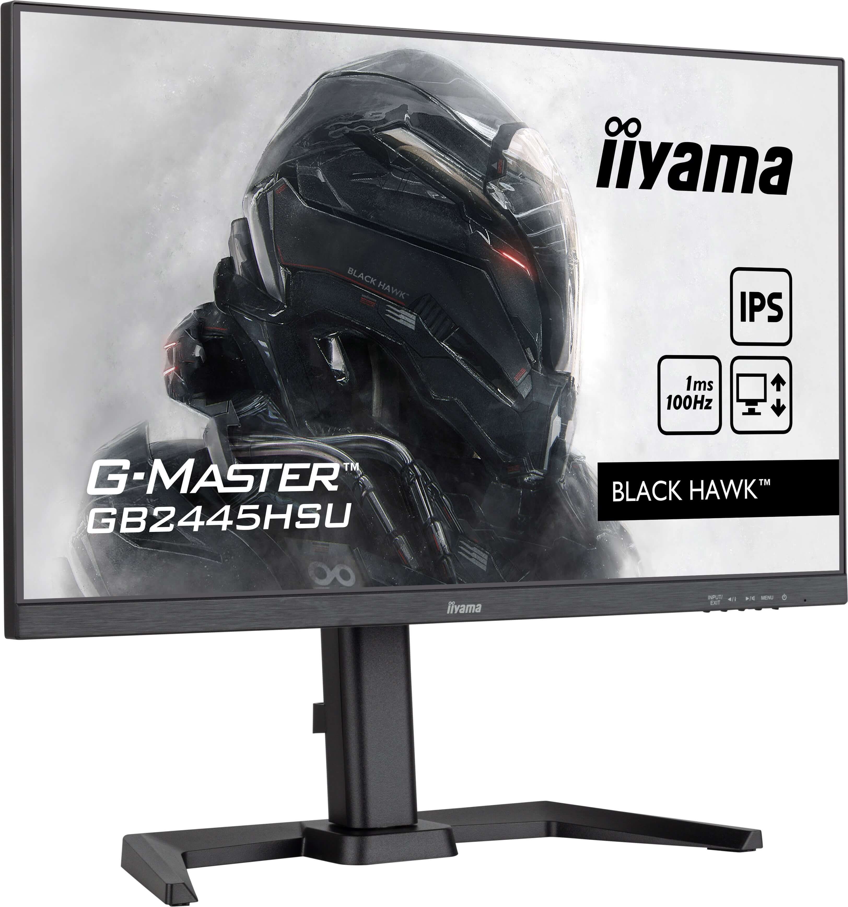 IIYAMA Monitor GB2445HSU-B2