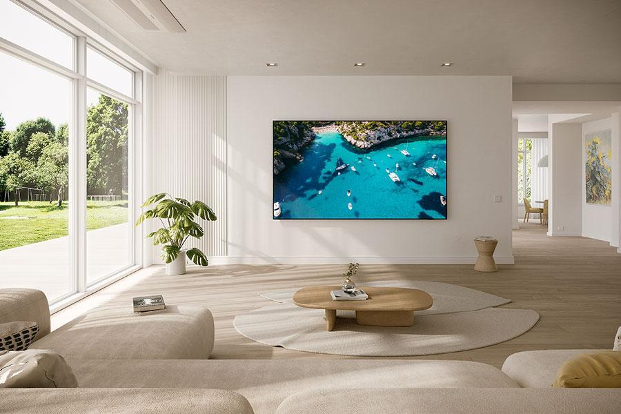 SAMSUNG TV GU98DU9079   (2024)