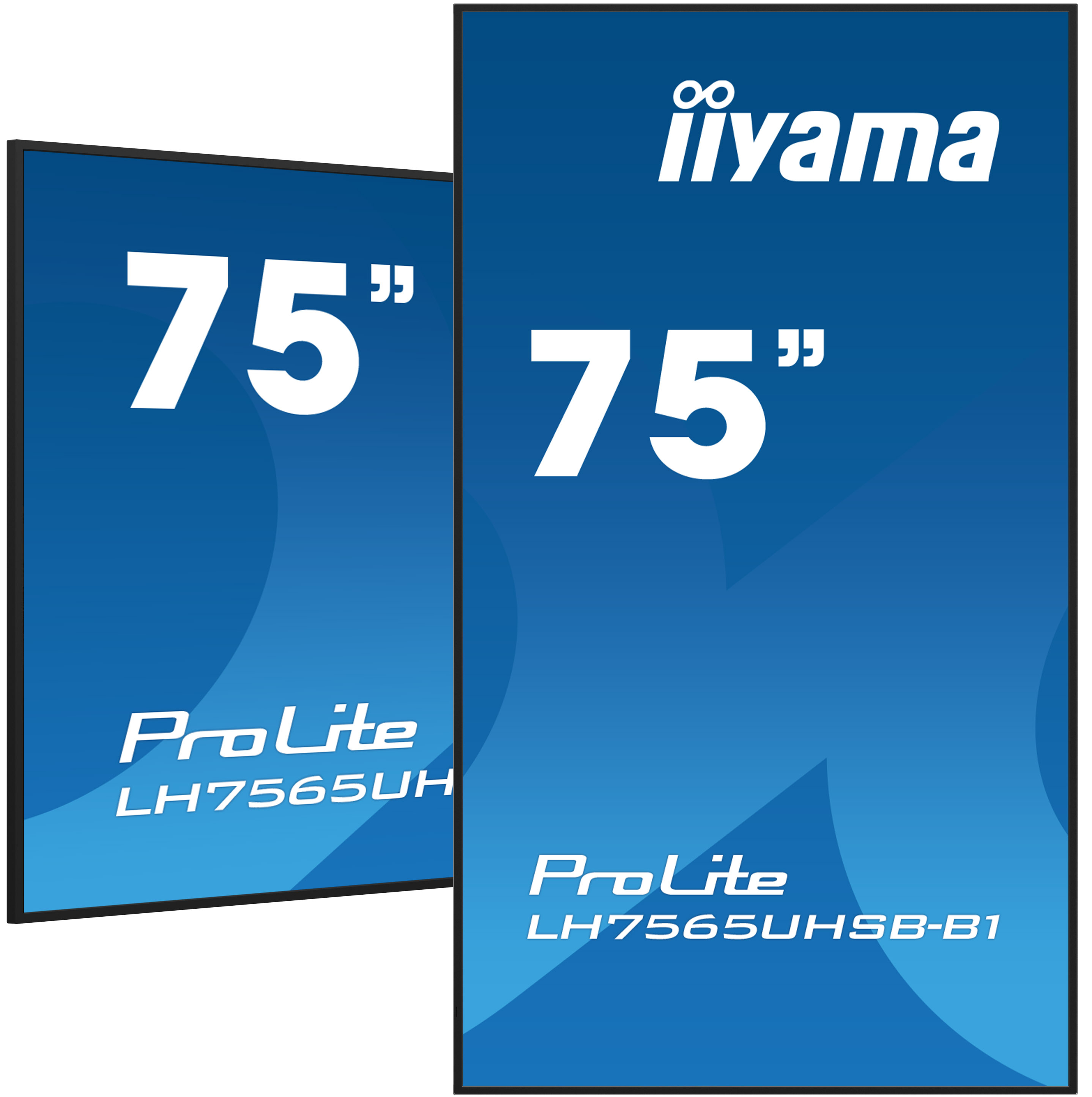 IIYAMA LFD ProLite LH7565UHSB-B1