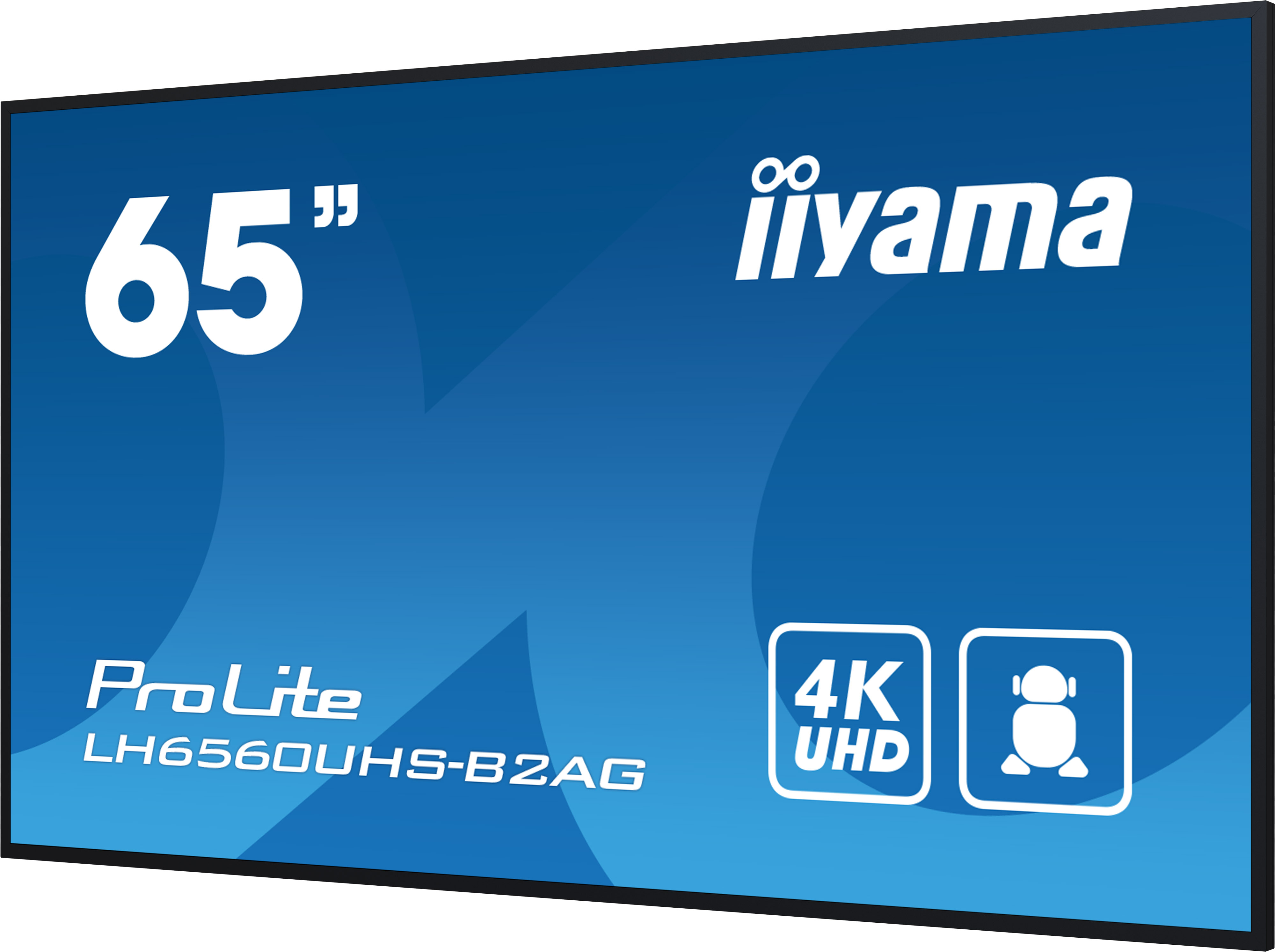 IIYAMA LFD ProLite LH6560UHS-B2AG