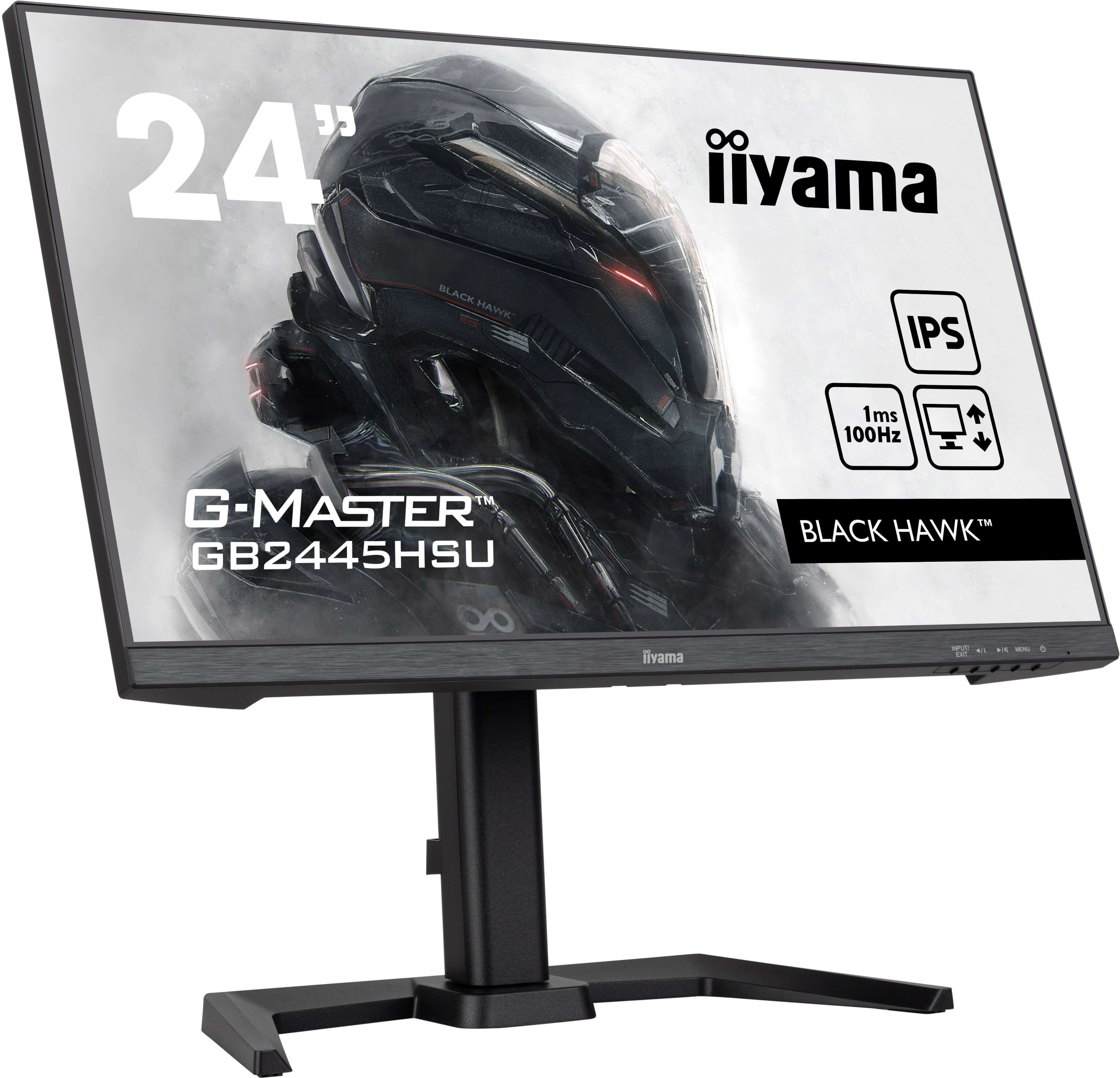 IIYAMA Monitor GB2445HSU-B2