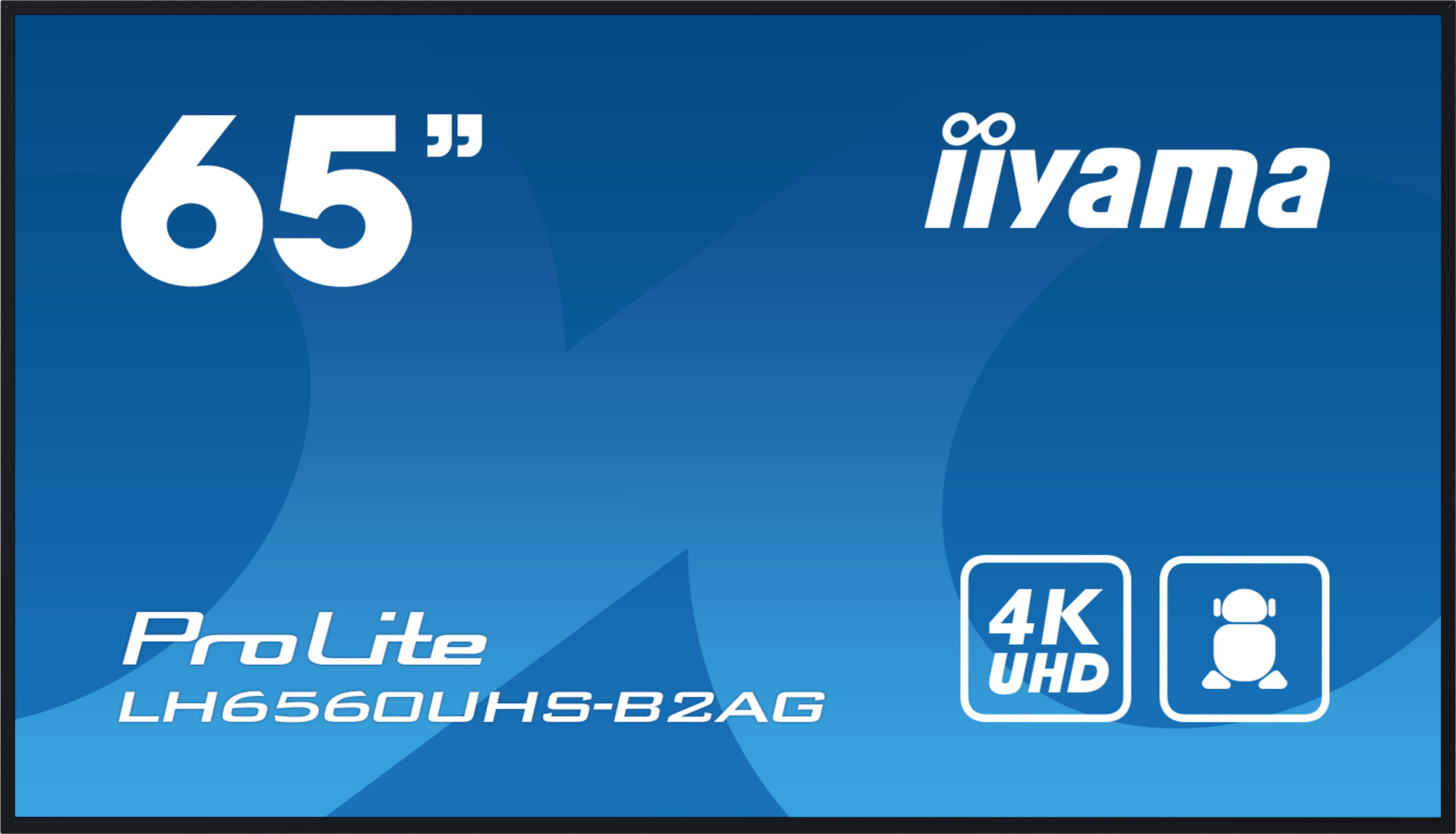 IIYAMA LFD ProLite LH6560UHS-B2AG