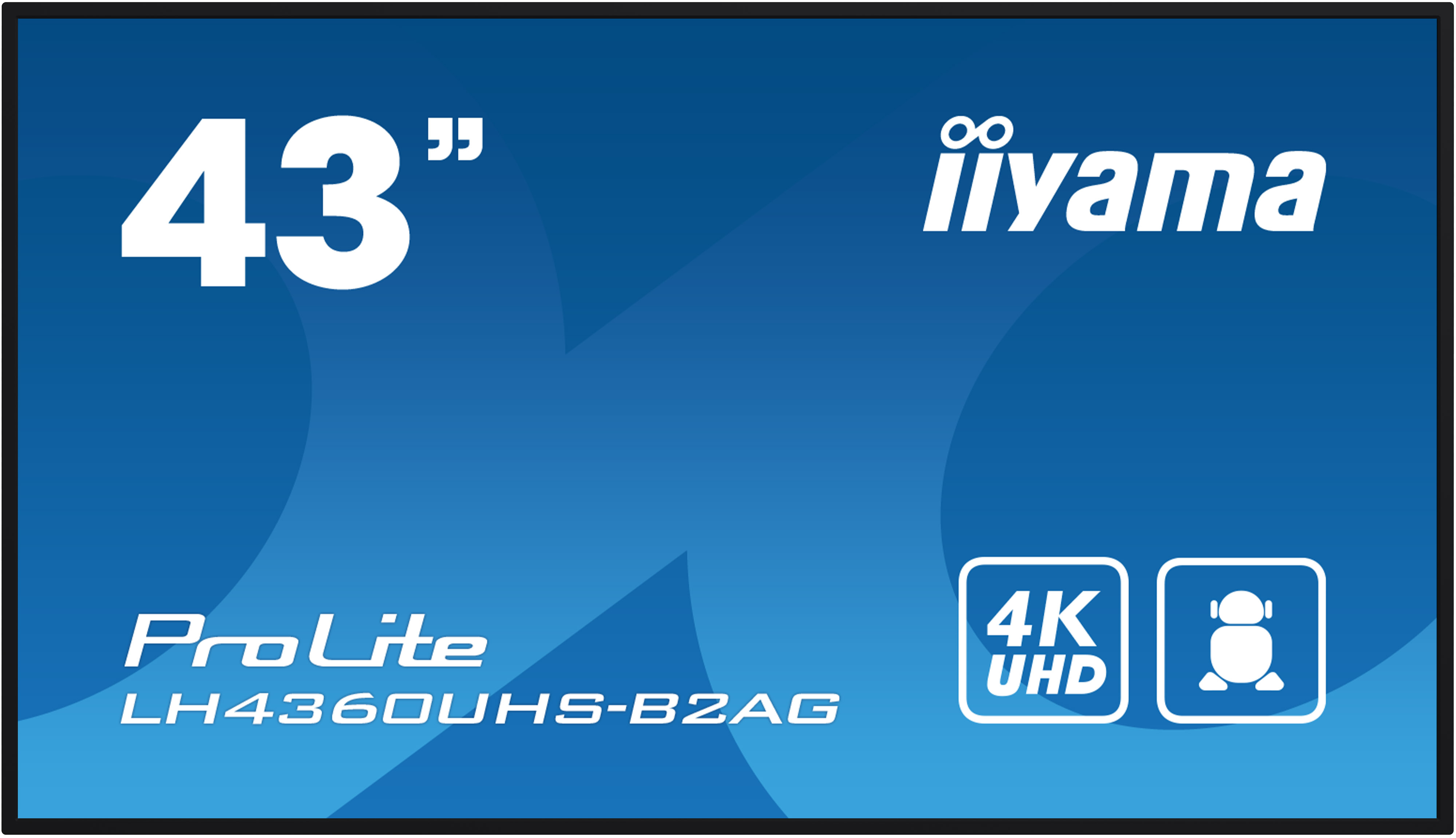 IIYAMA LFD ProLite LH4360UHS-B2AG