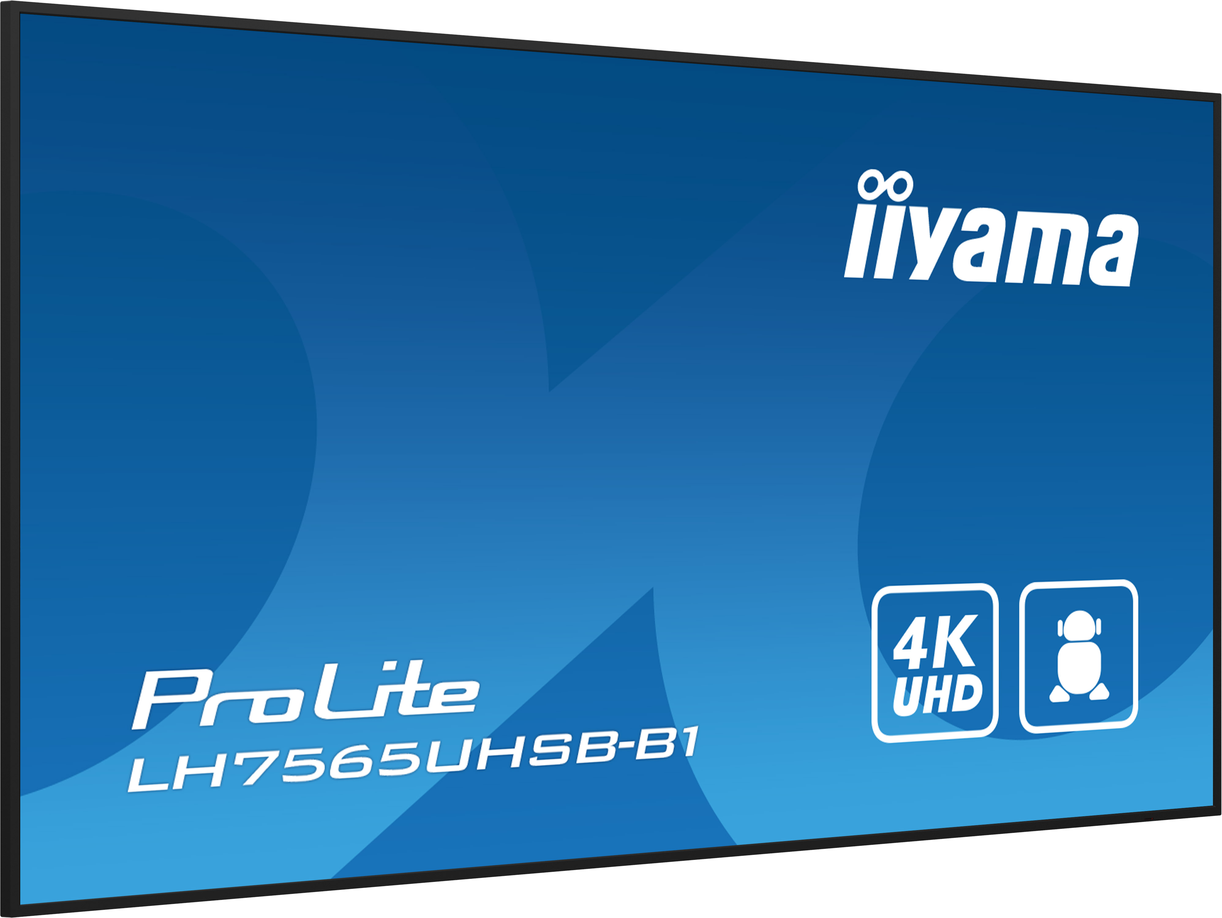 IIYAMA LFD ProLite LH7565UHSB-B1