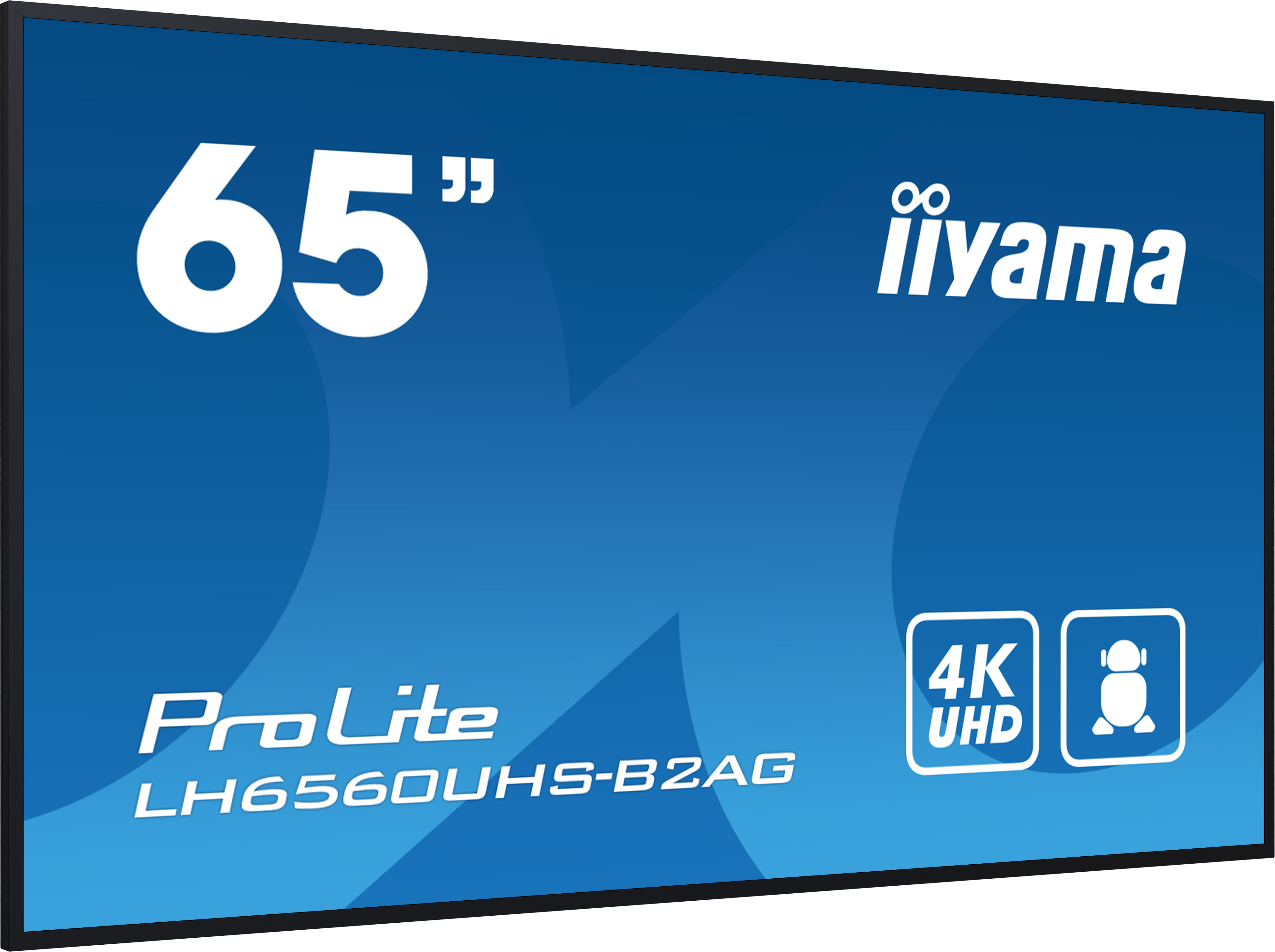 IIYAMA LFD ProLite LH6560UHS-B2AG