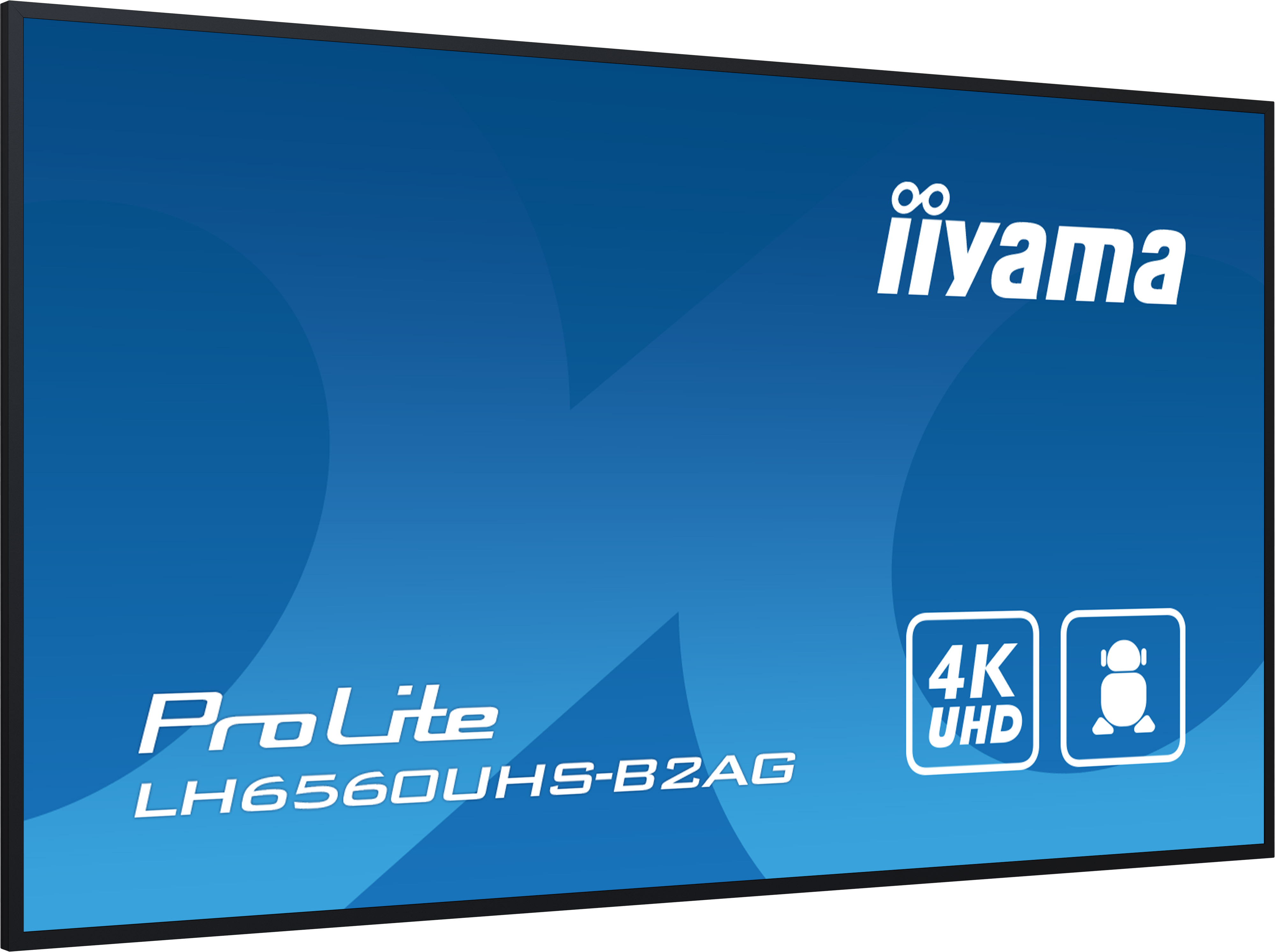 IIYAMA LFD ProLite LH6560UHS-B2AG