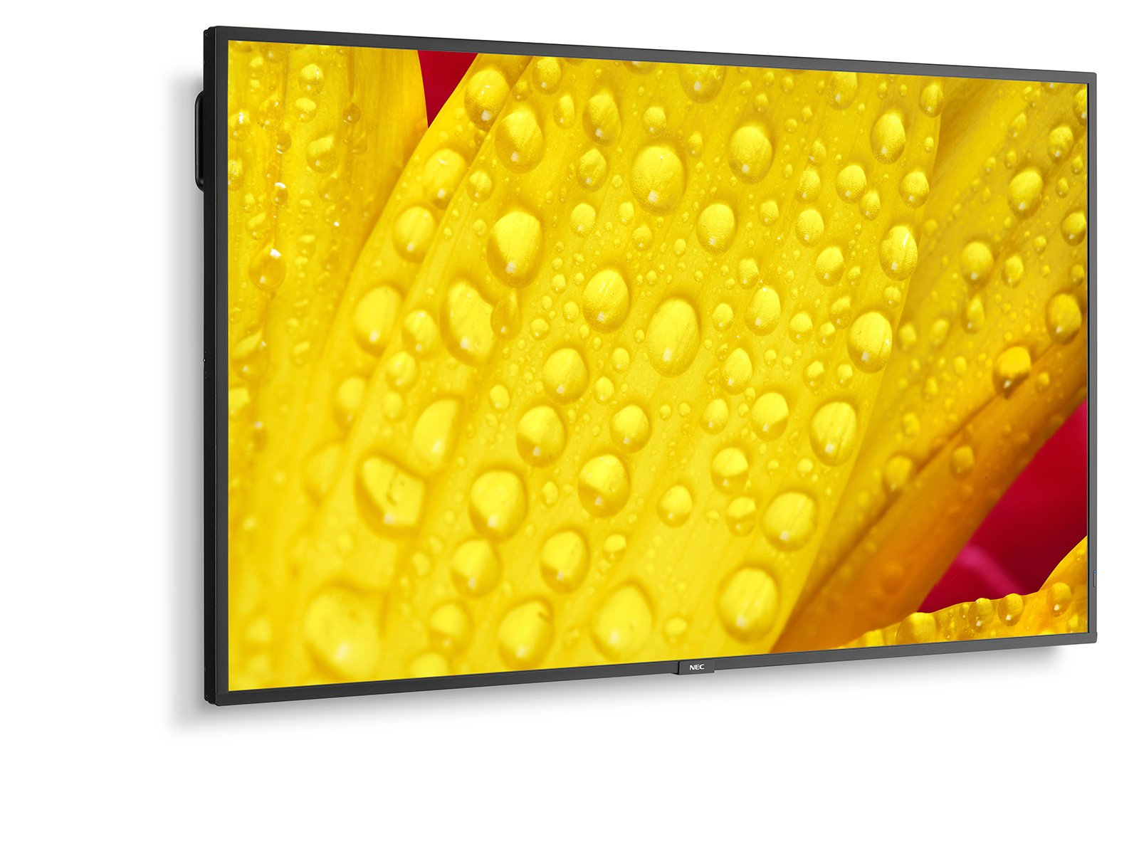 NEC Large Format Display M501-2