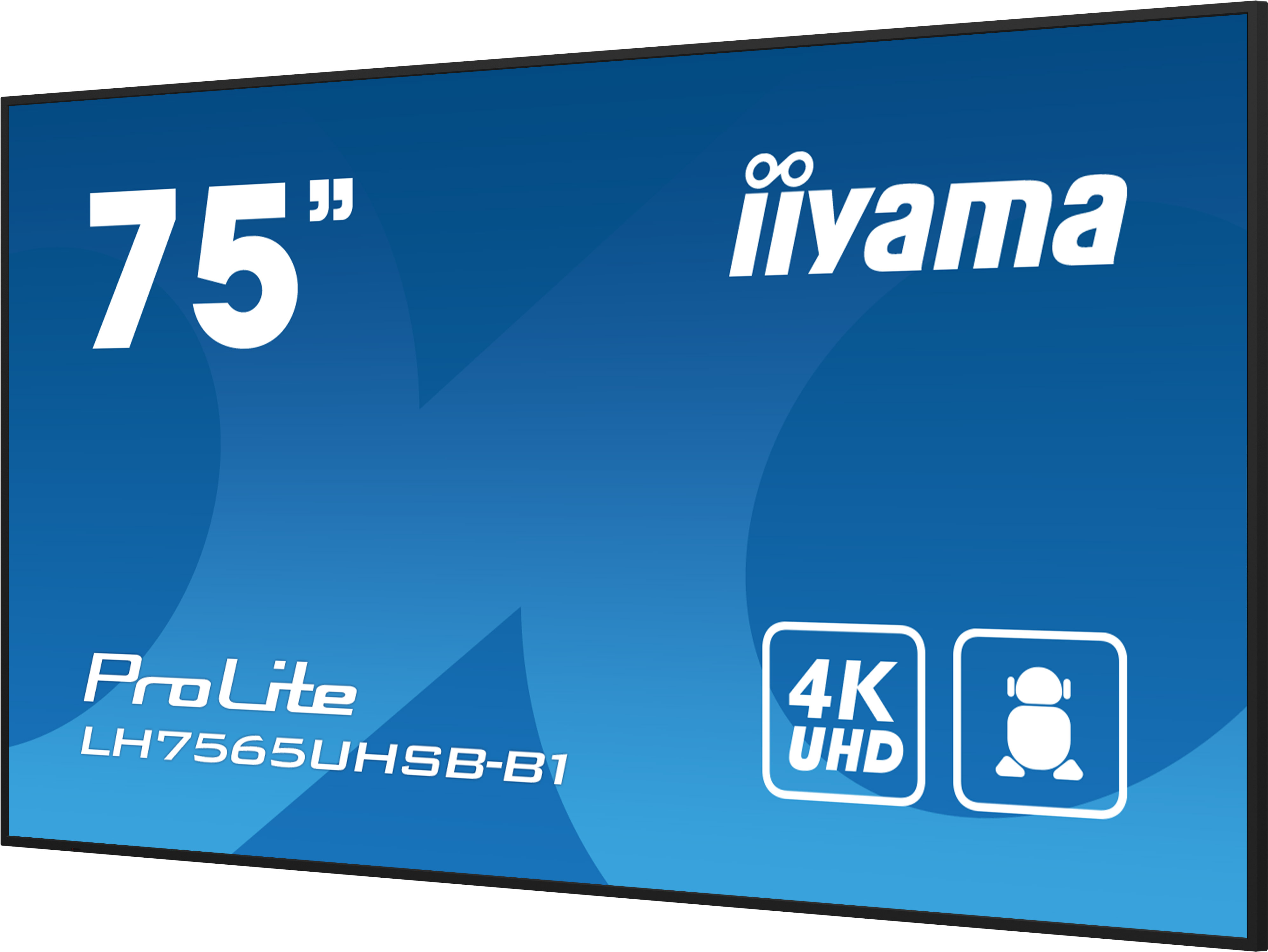 IIYAMA LFD ProLite LH7565UHSB-B1