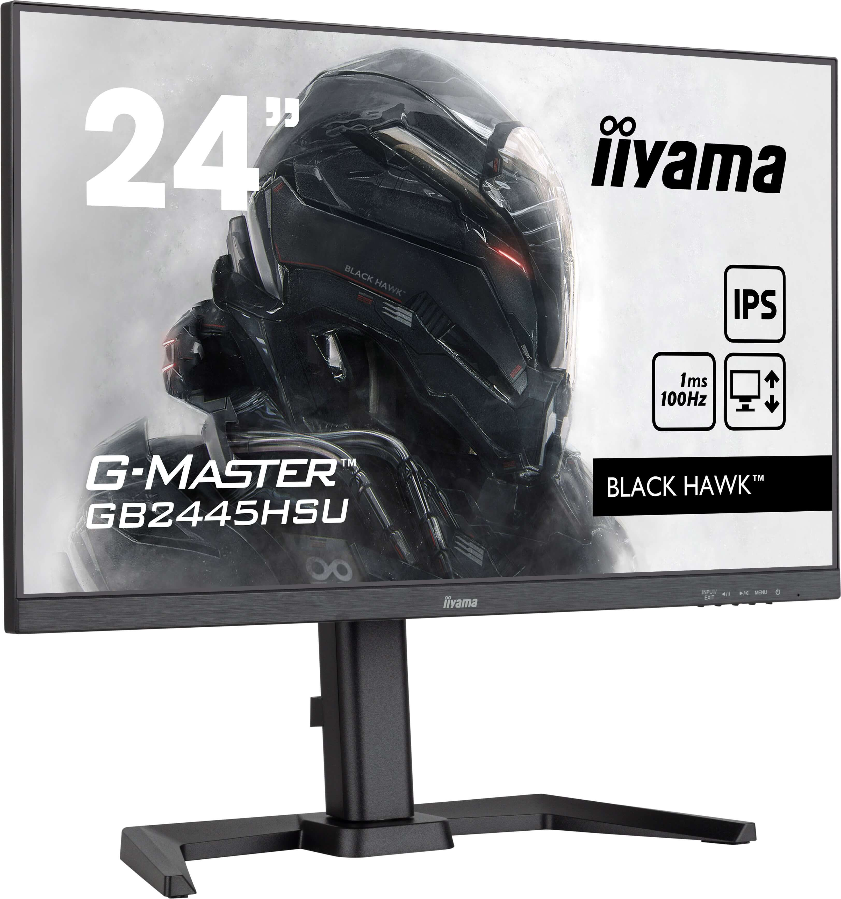 IIYAMA Monitor GB2445HSU-B2